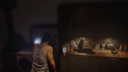 DEN PAIN (2025) - Лицензия