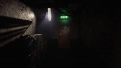 Dimmed Light (2025) - Лицензия