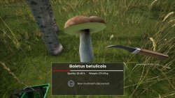 Mushroom Hunter World (2025) - RePack от FitGirl