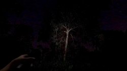 The Remains of Dahlia (2025)