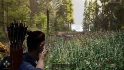 The Gold River Project (2026)