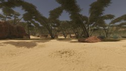Kalahari’s End (2026)