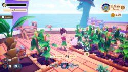 Collector's Cove (2026)