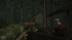 MAZEBOUND: Hunt, Gather, Run (2026)
